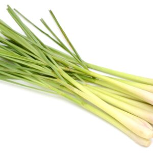 HERB LEMONGRASS