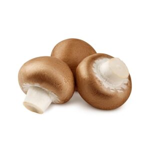 MUSHROOM SLICE WILD BLEND