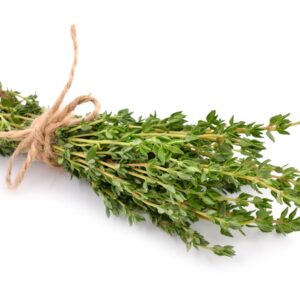 HERB LIVING THYME