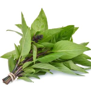 HERB BASIL THAI
