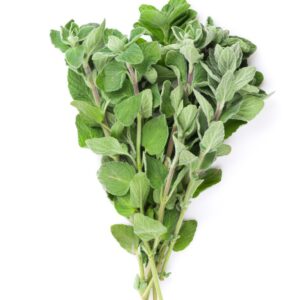 SPICE WHOLE MED OREGA