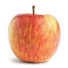 APPLE FUJI 125-138CT