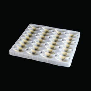 CHOCOLATE WHITE FEATHERS MED