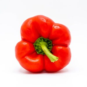 SPICE BELL PEPPER RED