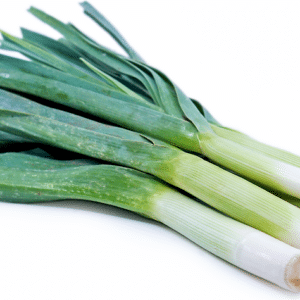 LEEK