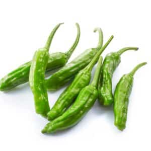 PEPPER SHISHITO 10#