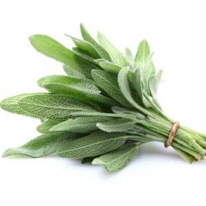 HERB SAGE