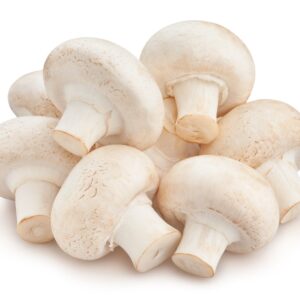 MUSHROOM INSTITUTION GLP