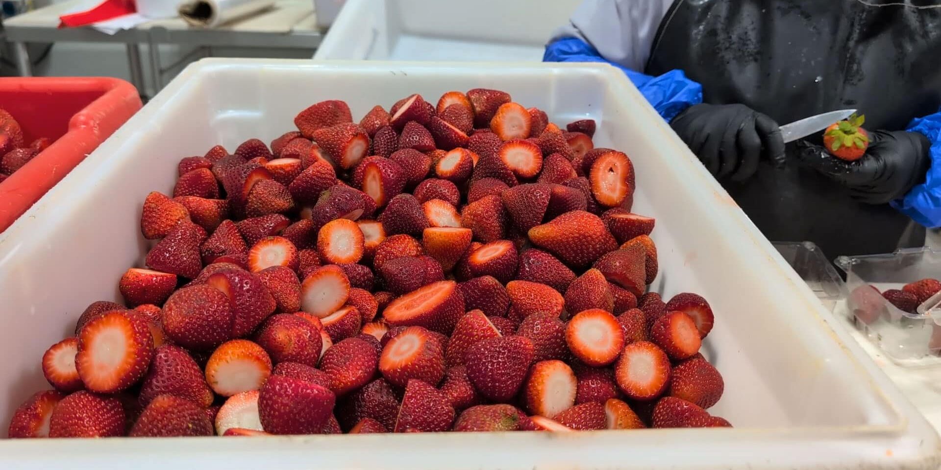 Fresh strawberries with tops cut off