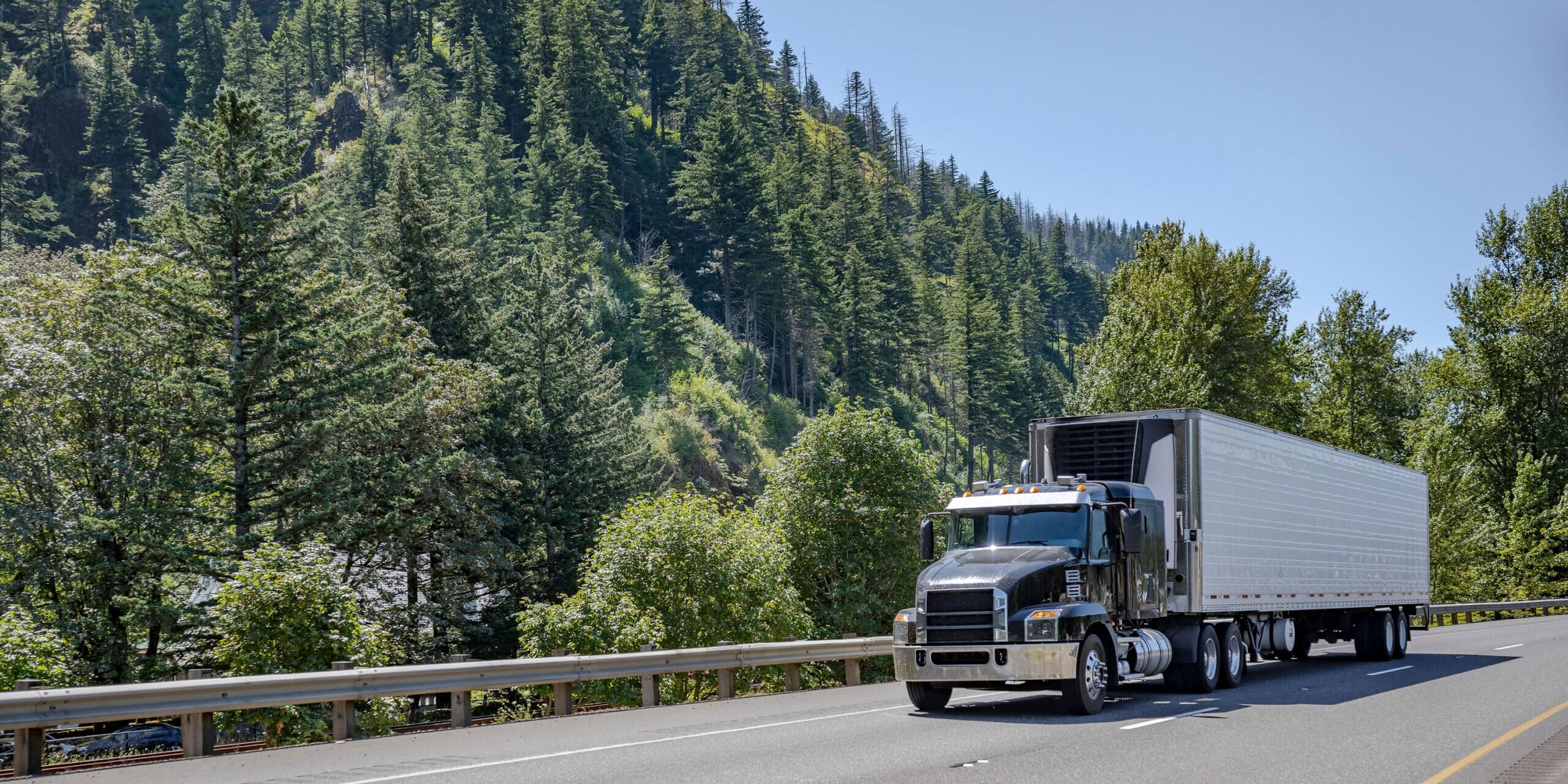 Semi truck driving on highway by forest